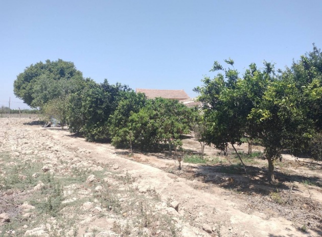 Resale - Country Property - Rojales - Cuidad Quesada