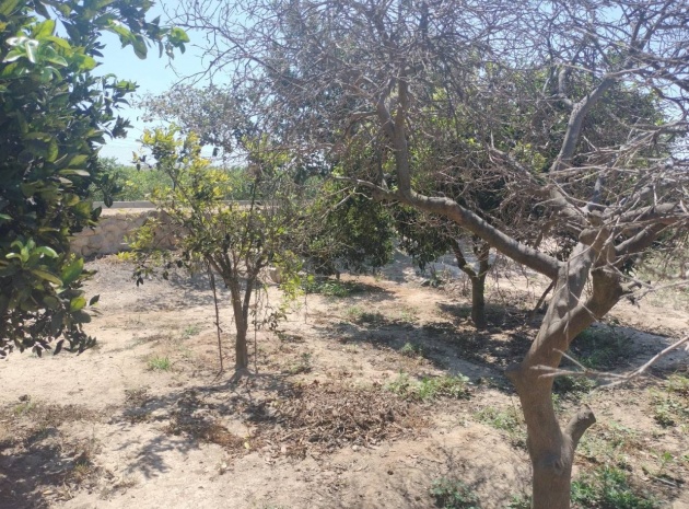 Resale - Country Property - Rojales - Cuidad Quesada
