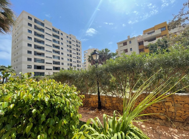 Wederverkoop - Appartement - Punta Prima - La Recoleta