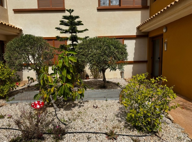 Wederverkoop - Appartement - Punta Prima - La Recoleta