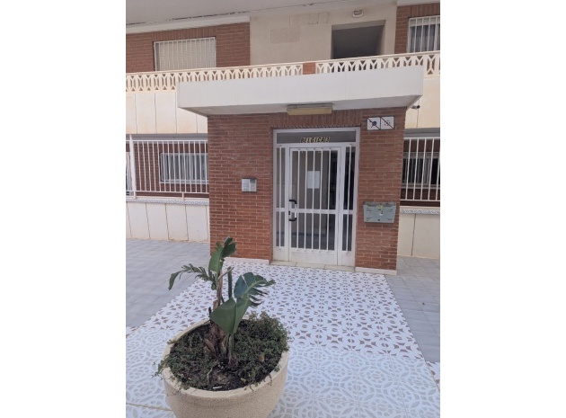 Revente - Appartement - Punta Prima - beachside punta prima