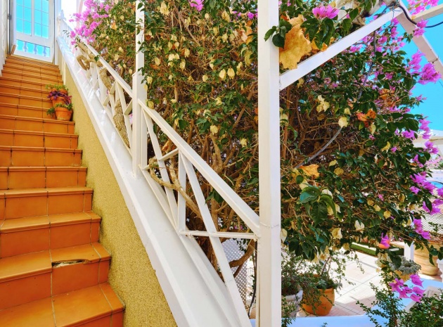 Resale - Apartment - Playa Flamenca - la concha