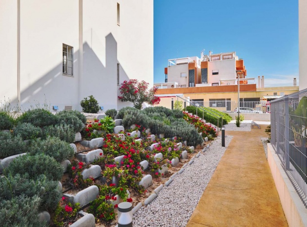 Resale - Apartment - Villamartin - Los Dolses