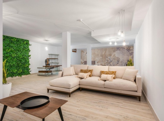 Nybyggnad - Villa - Vera - Vera Playa