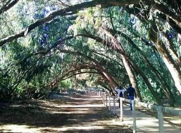 Nouvelle construction - Appartement - Torrevieja - Torrejón