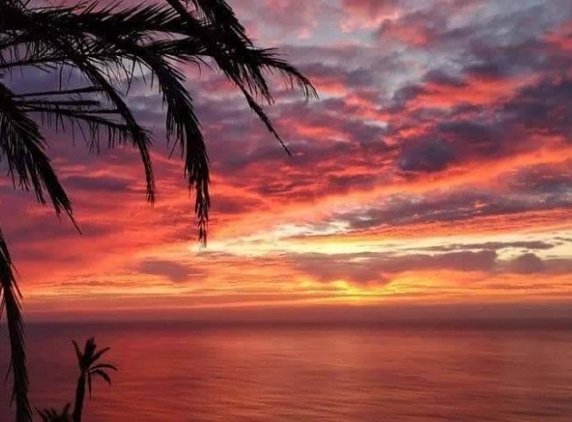 Nouvelle construction - Appartement - Torrevieja - Torrejón