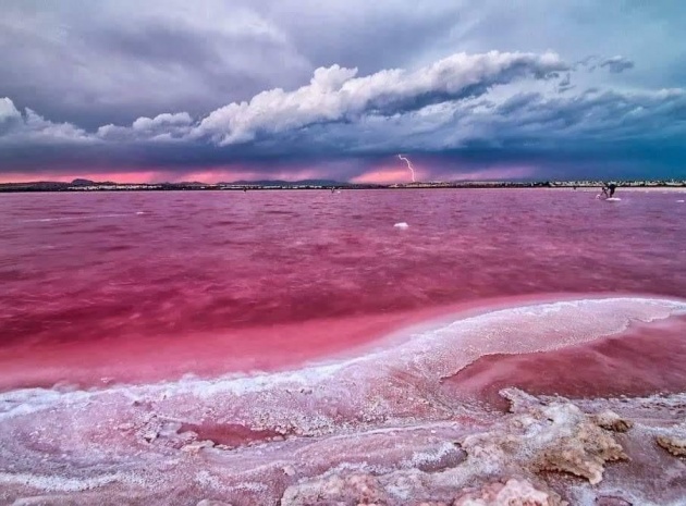 Nouvelle construction - Appartement - Torrevieja - Torrejón