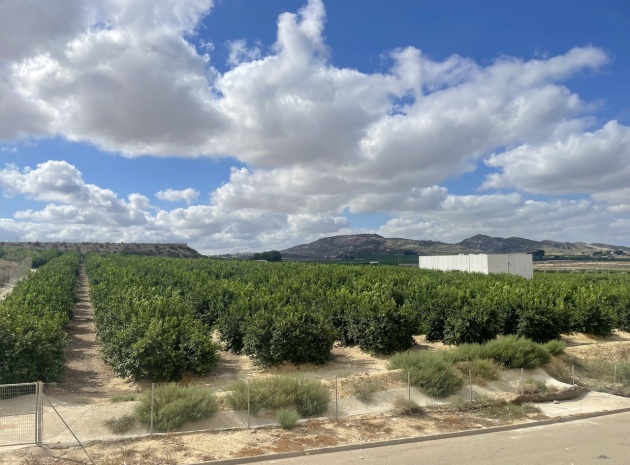 Wederverkoop - Appartement - Algorfa - fontana