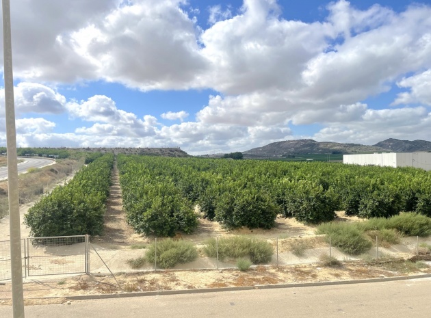 Wederverkoop - Appartement - Algorfa - fontana