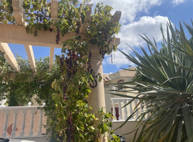 Resale - Villa - Algorfa - Montemar