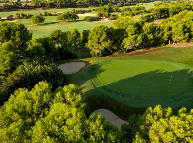 New Build - Villa - Pilar de la Horadada - Lo Romero Golf