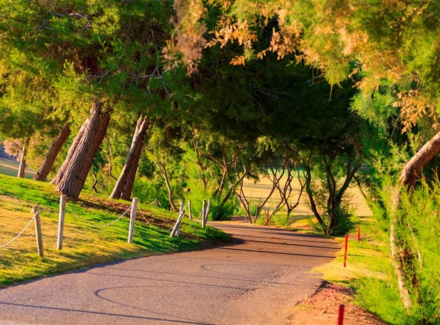 New Build - Villa - Pilar de la Horadada - Lo Romero Golf