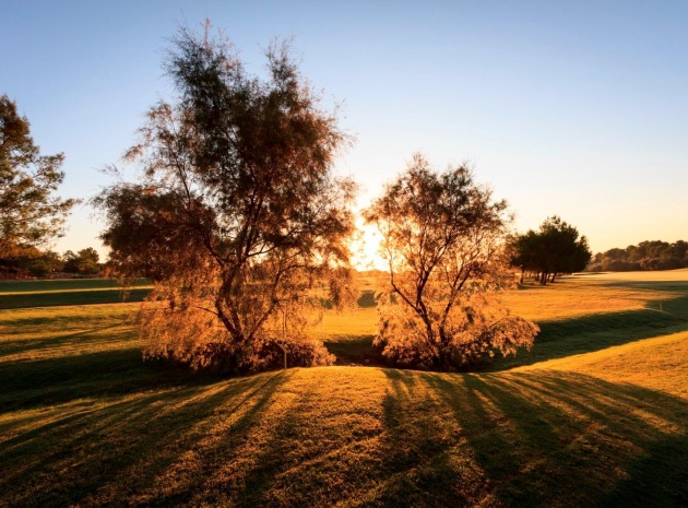 New Build - Villa - Pilar de la Horadada - Lo Romero Golf