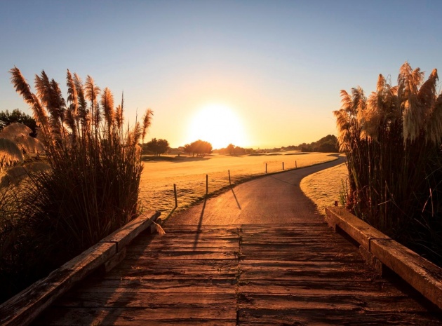 New Build - Villa - Pilar de la Horadada - Lo Romero Golf