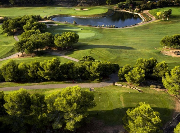 New Build - Villa - Pilar de la Horadada - Lo Romero Golf