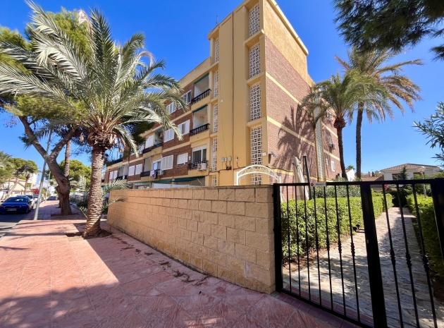 Resale - Apartment - La Zenia - beachside