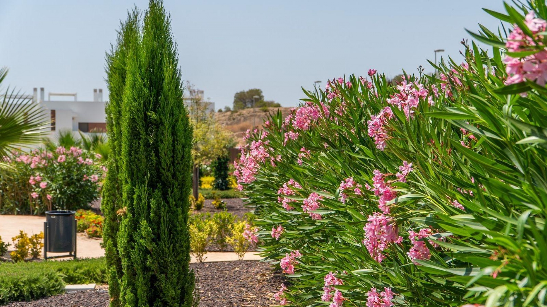 New Build - Townhouse - San Miguel de Salinas - VistaBella Golf