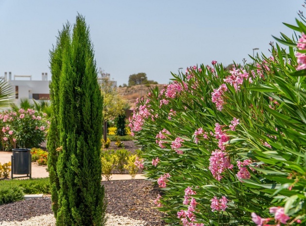 Nieuw gebouw - Appartement - San Miguel de Salinas - VistaBella Golf