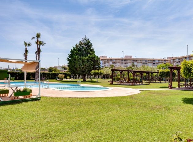 Wiederverkauf - Wohnung - Torrevieja - parque del naciones