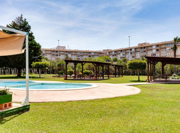 Wiederverkauf - Wohnung - Torrevieja - parque del naciones