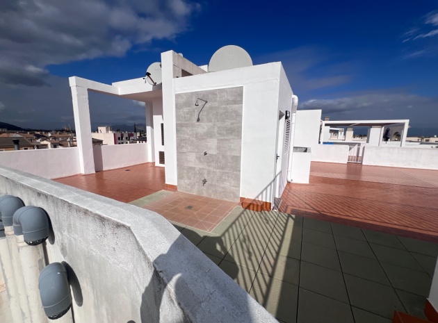 Wiederverkauf - Wohnung - Jacarilla - jacarilla