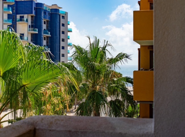 Revente - Appartement - Punta Prima - La Recoleta