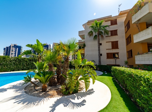 Revente - Appartement - Punta Prima - La Recoleta