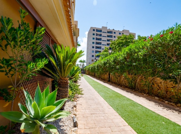 Revente - Appartement - Punta Prima - La Recoleta