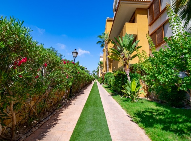 Revente - Appartement - Punta Prima - La Recoleta