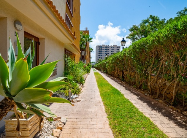 Revente - Appartement - Punta Prima - La Recoleta