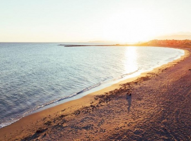 Nouvelle construction - Appartement - Almerimar