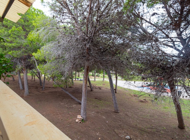 Revente - Bungalow - Punta Prima - serena