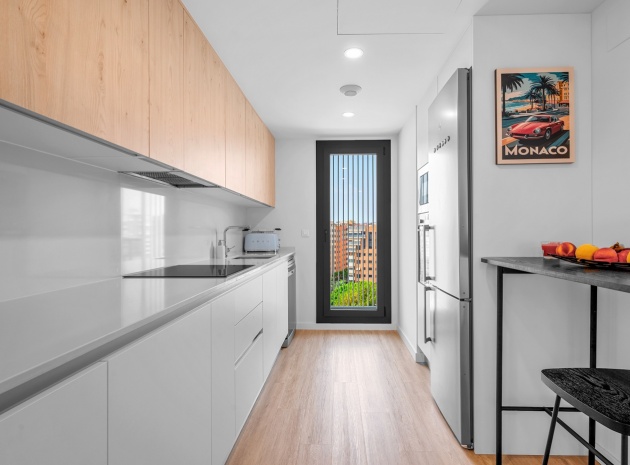 Wiederverkauf - Wohnung - Alicante - San Agustín-PAU 2