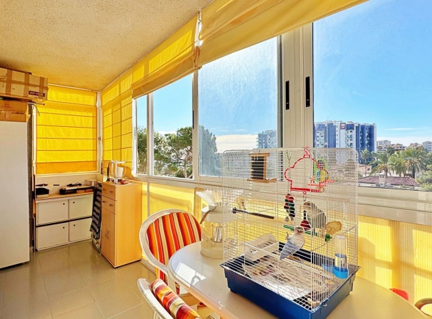 Resale - Apartment - Punta Prima - rocio del mar