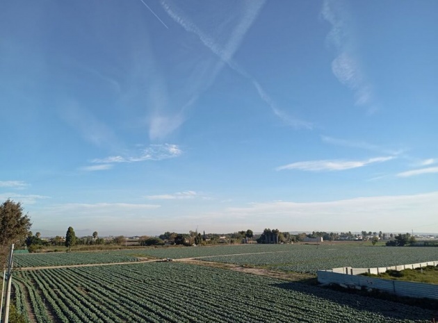 Wiederverkauf - Stadthaus - Daya Vieja