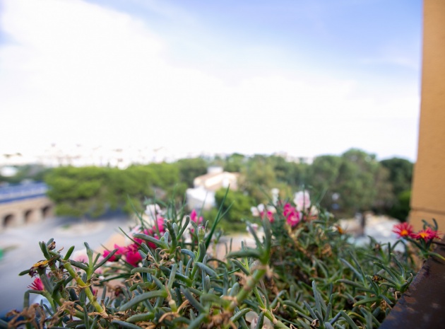 Revente - Appartement - La Zenia - beachside la zenia