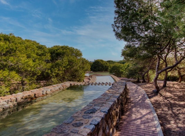 Återförsäljning - Bungalow - Torrevieja - parque del naciones
