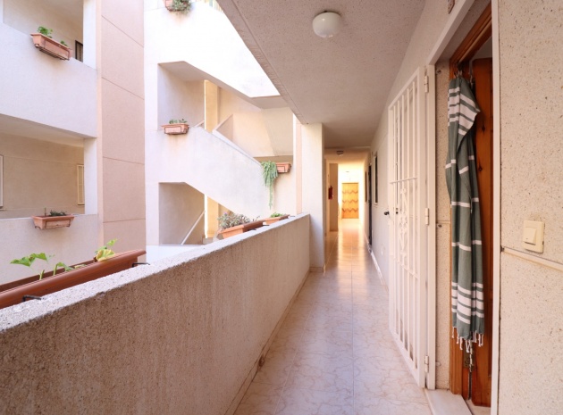 Wiederverkauf - Wohnung - Torrevieja - san luis