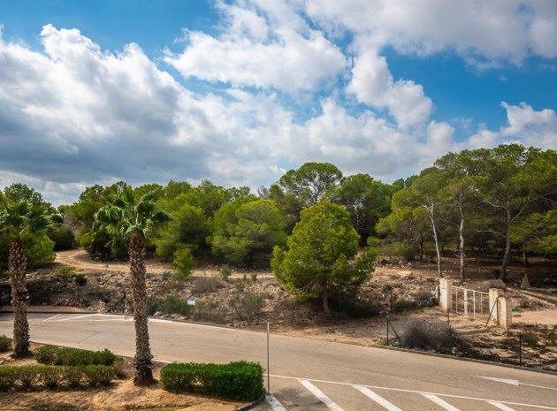 Resale - Apartment - Algorfa - Lo Crispin