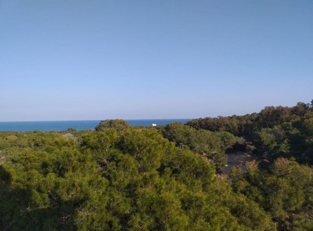 New Build - Apartment - Guardamar del Segura - Pueblo