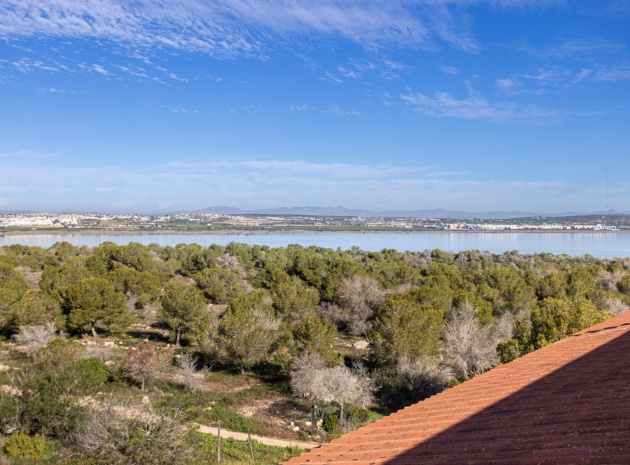 Wiederverkauf - Wohnung - Torrevieja - La Siesta