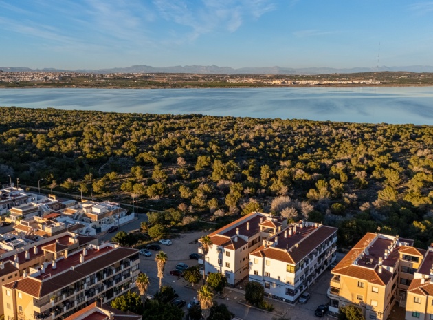 Wiederverkauf - Wohnung - Torrevieja - La Siesta