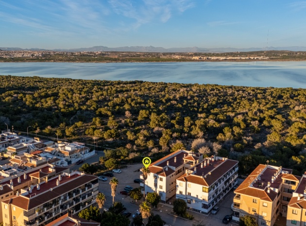 Wiederverkauf - Wohnung - Torrevieja - La Siesta