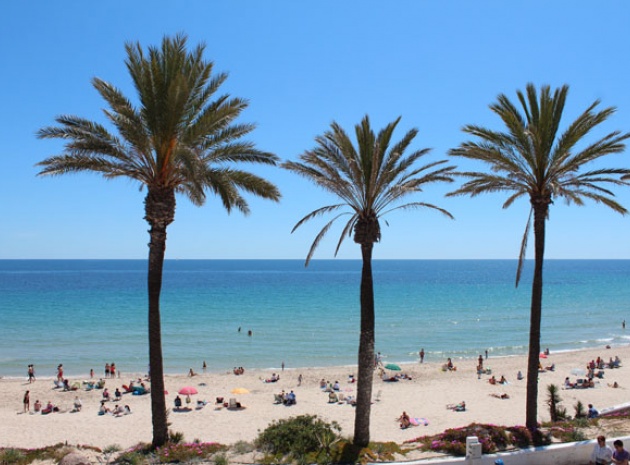 Resale - Apartment - Pilar de la Horadada - Mil Palmeras