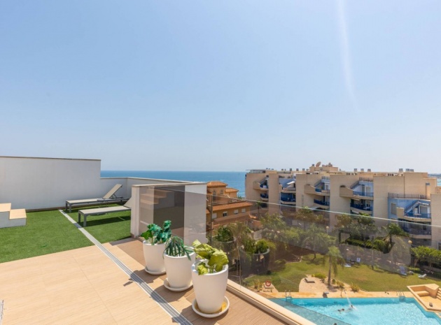 Revente - Appartement - Cabo Roig
