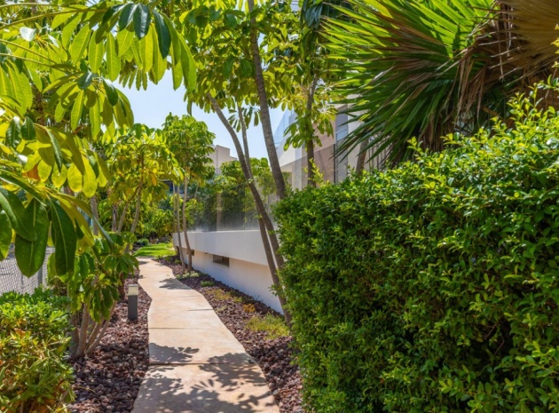 Revente - Appartement - Cabo Roig