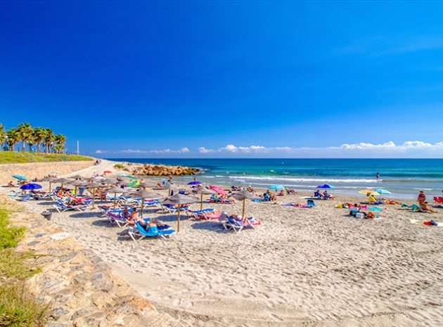 Resale - Apartment - Orihuela Costa - Playa Flamenca