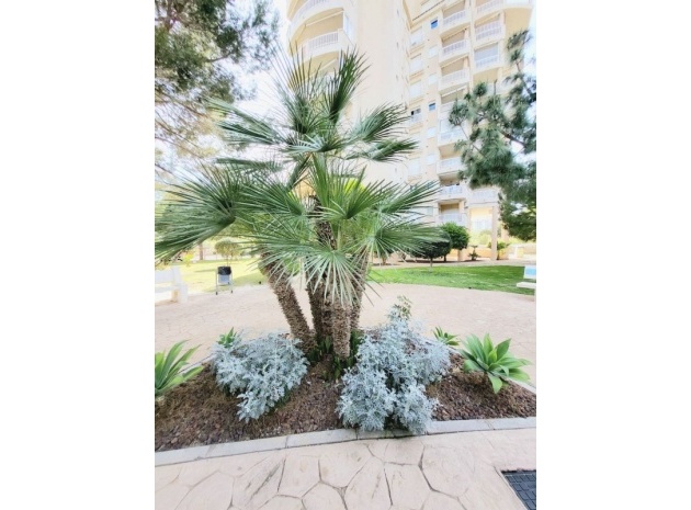 Resale - Apartment - Campoamor - Dehesa de Campoamor