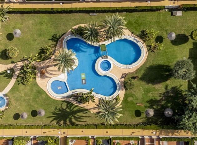 Resale - Apartment - Playa Flamenca - Zeniamar