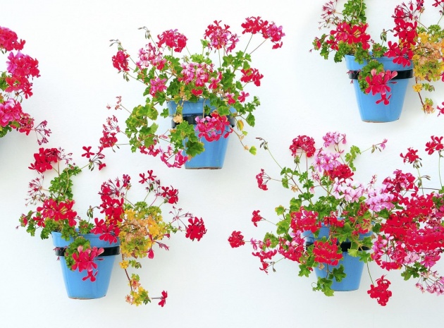 Nybyggnad - Lägenhet - Mijas - La Noria Golf